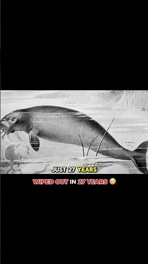 This Giant Sea Creature Was Wiped Out in 27 Years 😳