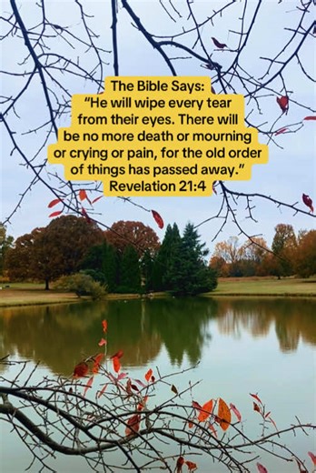 Revelation 21:4 promises a future state of perfection in God's new creation where all suffering—including death, mourning, crying, and pain—will be eliminated. It is a message of comfort and hope for believers, assuring them that the temporary sorrows of this life will be replaced by everlasting joy and peace when God dwells fully among them. The Bible Says: “He will wipe every tear from their eyes. There will be no more death or mourning or crying or pain, for the old order of things has passed