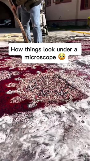How things look under a microscope #fyp #interesting | Things Under A Microscope