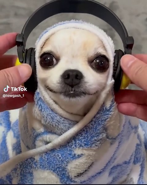 Boom Bap Music Edit: Memorable Vibes