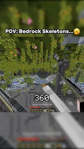 Java Skeleton VS Bedrock Skeleton 😭
