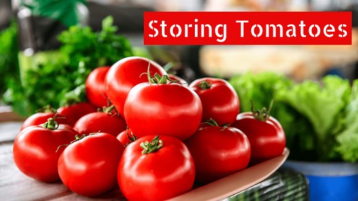 15 Expert Ways: How To Store Tomatoes For Long Term (2026)