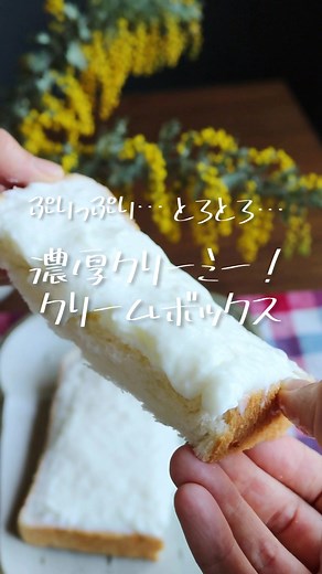 濃厚ぷるっぷる！「クリームボックス」牛乳消費にも👍#tiktokレシピ #レシピ #簡単レシピ #食パン