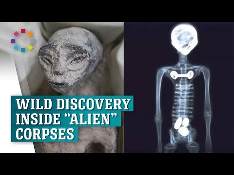 Doctors claim Mexico ‘alien corpses’ are ‘biological’ single skeleton