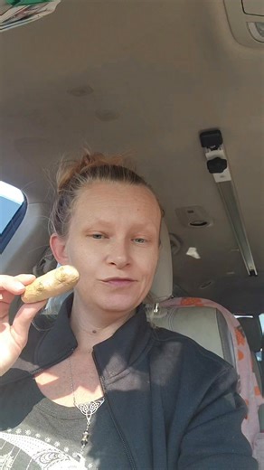 TonyasBeauty on Instagram: "Do you like Gardening? When i get home I'll place ginger into a bowl of water. Farmers spray roots plants to prevent them from growing. Even organic ones I believe. So give them a 12 hr soak and place into dirt. Preferably a pot so you can move indoors when a freeze occurs. If you have freeze 34 °Fahrenheit 4 hrs or less and no greens have sprouted roots should be fine 💕 Follow along and we will plant tomorrow 😊"