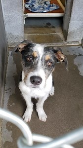 6.3K views · 795 reactions | ADOPTED :) Thank you to everyone that...