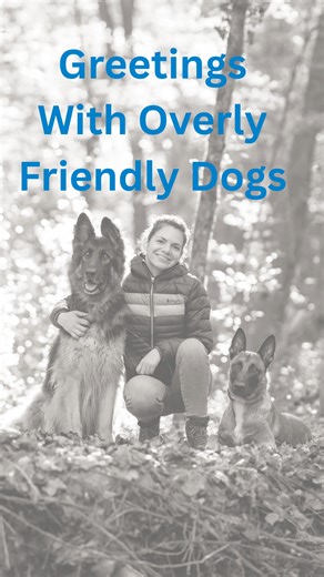 This video is for all the super friendly, overly excited social butterflies out there. Having a dog who loves everyone is a great problem to have, but it can become a challenge if they value every person and dog out in the world more than they value you. What I’m talking about here is teaching neutrality first. Before we let these dogs greet others, we want them to learn that we are the source of all the good stuff, and that greetings happen through us, not in spite of us. This isn't about makin