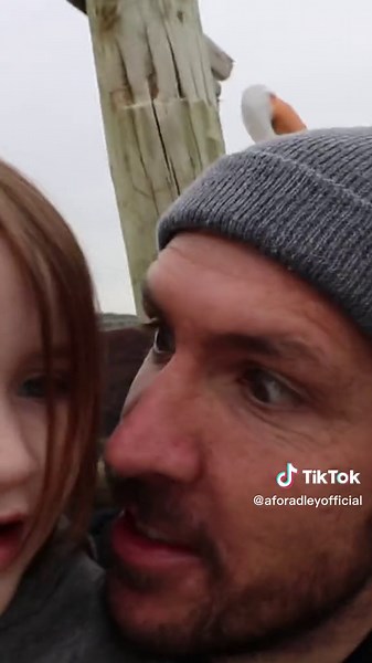 SAViNG PiRATE iSLAND from BOWSER!! 🏝️ #aforadley #aforadleyclips #shonduras #bestdayever