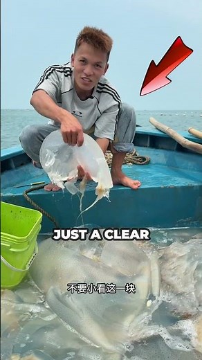 What’s Inside a Jellyfish Will Shock You 🤯🪼🌊