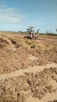 Powerful Tractor Smoothing Muddy Rice Field 🌾🚜 | Farming in Action