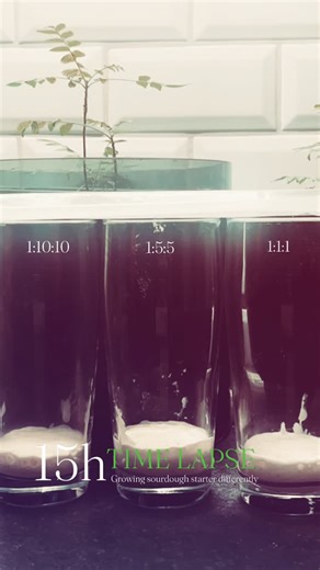 I'm May | sourdough home bakery, Oslo on Instagram: "Ever wondered why I don't just stock up on sourdough bread? It's because I'm passionate about keeping things simple - just flour, water, and salt. No additives or processed chemicals needed! While store-bought bread has its place, our bodies deserve the pure stuff. That's why I put in the time and effort to grow my sourdough starter. Next time you preorder, remember the 15-hour process that goes into crafting each loaf. The end result? A tangy