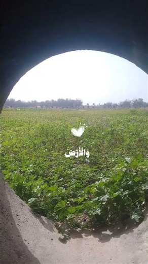 جمال الطبيعة في آية