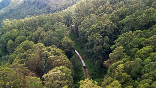 Train, Railway, Railroad