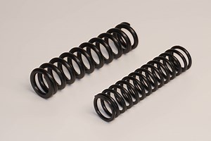 [Hot Item] Professional-Spec Spring with Tailored Load Requirements for Efficiency