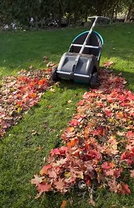 The GARDENA Leaf & Lawn Collector - a clever solution for collecting garden waste.  Picks up leaves in record time  Zero bending - no more back pain  No motor, no batteries, no cords  Folds easily for space-saving storage Learn more ➡ https://bit.ly/44mIOZH Shop now ➡ https://bit.ly/3OJ4Ik8 | GARDENA | Facebook