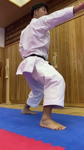 Train the punch until it becomes instinct. 🥋👊Power comes from precision, speed, and endless repetiti
