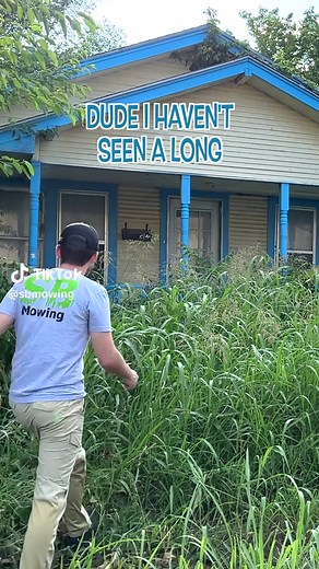 Transforming Overgrown Yards with Lawn Care Techniques