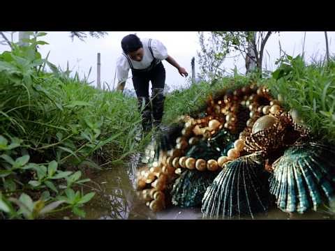 👙 Wow, look at that beautiful girl picking pearls from oysters # stockings # short skirt