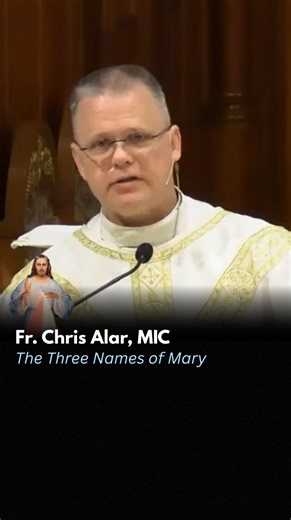5.9K views · 13K reactions | Fr. Chris Alar reflected on the richness...