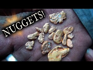37K views · 1.5K reactions | WOW! finding big gold is fun! Steve,...
