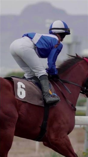 Κυπριακές Ιπποδρομίες - Όλα όσα χρειάζεστε μονο στο jockeycy.com