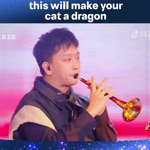 Chinese Traditional Music Meets with Electro #ChinasGotTalent #中国达人秀 #ChineseTalent | China’s Got Talent