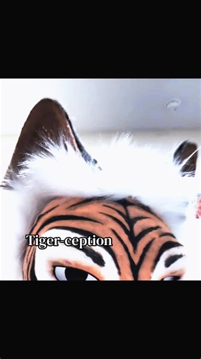 Tiger tiger tiger #furryfandom #furry #fursona #fursuit #therian