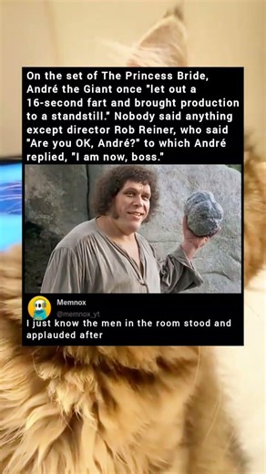 On the set of The Princess Bride, André the Giant once "let out a 16-second fart and brought