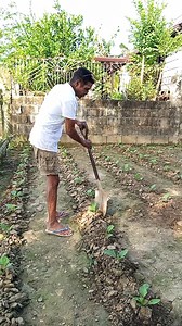 25K views · 262 reactions | nakatayo na yumg bulong (dahon) | W Bush Tv | Facebook