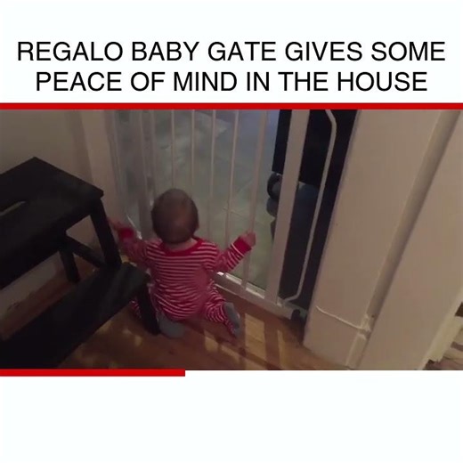 Regalo baby gate gives some peace of mind in the house