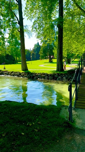 40K views · 12K reactions | Switzerland  Cham am See  #berneroberland #switzerland #mountains #schweiz #swissalps #myswitzerland #nature #inlovewithswitzerland #hiking #swiss #alps #wanderlust #visitswitzerland #travel #jungfrauregion #suisse #landscape #reels #naturephotography #relaxing #grindelwald #lauterbrunnen #interlaken #lake #switzerlandpictures #swissmountains #myswitzerland #followforfollow #fotografie #cham #chamamsee | Eye Max Pro | Facebook