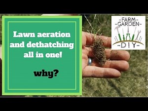 Best way to aerate and dethatch your lawn!