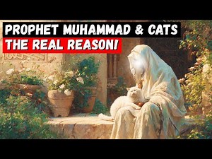 Why Prophet Muhammad (PBUH) LOVED Cats — The BEAUTIFUL Truth REVEALED