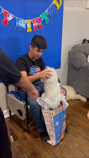 97K views · 2.1K reactions | Getting a custom stuffed animal made to look just like your pet that crossed the rainbow bridge. 凉 MyPetsies.com | Petsies | Facebook