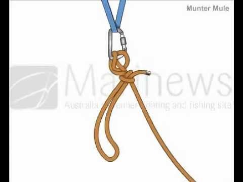 How to Tie Munter Mule Knot