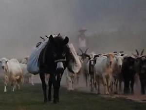 муз.ОДИНОКИЙ ПАСТУХ