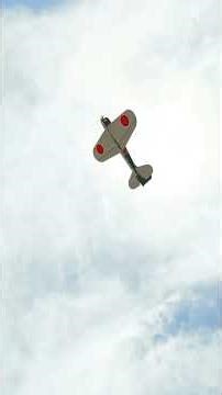 RealFlight Evolution Fun Force Zero 4k60 fps