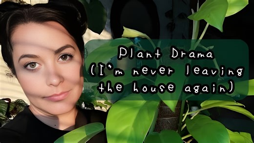 Plant care mistakes and recovery tips for indoor plants