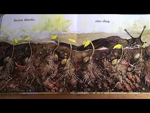 Ten Seeds by Ruth Brown