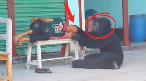 4.6M views · 10K reactions | Prank Funny Part 6 | JingPrank | Facebook