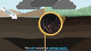 137K views · 668 reactions | The Compost Story (Full Video) by Kiss The Ground | Organic Rising | Facebook