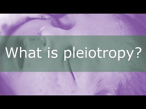 What is Pleiotropy?