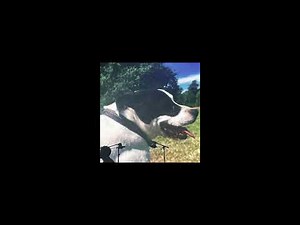 King Krule - Flimsier (live)