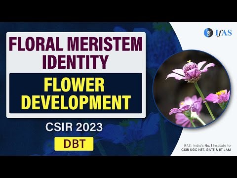FLORAL MERISTEM IDENTITY I FLOWER DEVELOPMENT I CSIR 2023 I DBT I