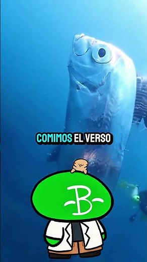 Aparecen 2 Peces REMO en una Playa de México | Biología Desde Cero #carnavalconshortsrojo