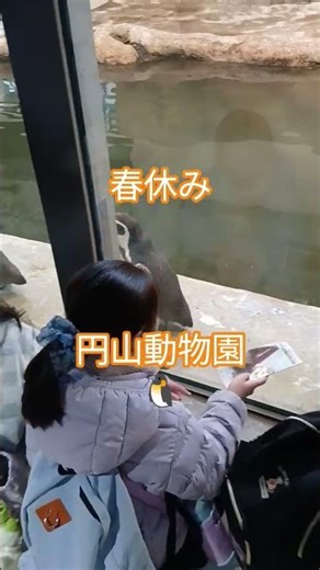 春休みのお出かけ♪ #学童保育 #春休み #円山動物園