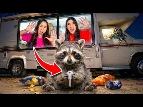 A Raccoon TRAPPED Us In An RV! Can We Survive!?