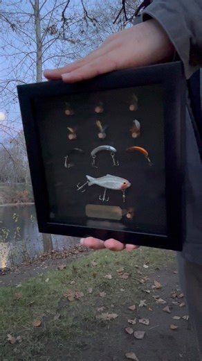 Custom shadow box I just finished for a client