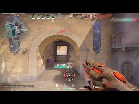 THE BEST VALORANT TRIGGGERBOT AND COLORBOT