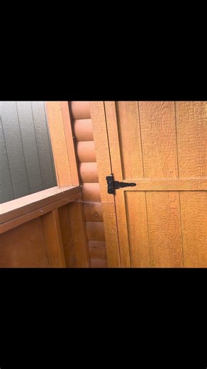 This Rustic Shed Gives Major Cabin Goals #cabin #aesthetic #shorts